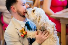 dogs-at-your-wedding