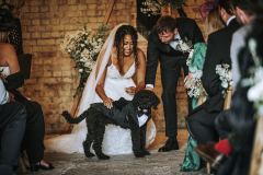 Dog friendly wedding