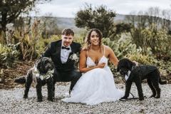 couple with their dogs