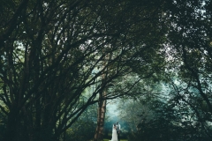 A couple are standing under a canopy of trees. The trees tower over them. The image is quite dark but the couple ar ein a pool of light. The bride is on the left and the grrom is on the right. The couple are in the bottom middle of the shot