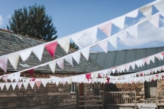 Bunting flapping in the courtyard