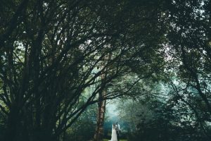 A couple are standing under a canopy of trees. The trees tower over them. The image is quite dark but the couple ar ein a pool of light. The bride is on the left and the grrom is on the right. The couple are in the bottom middle of the shot